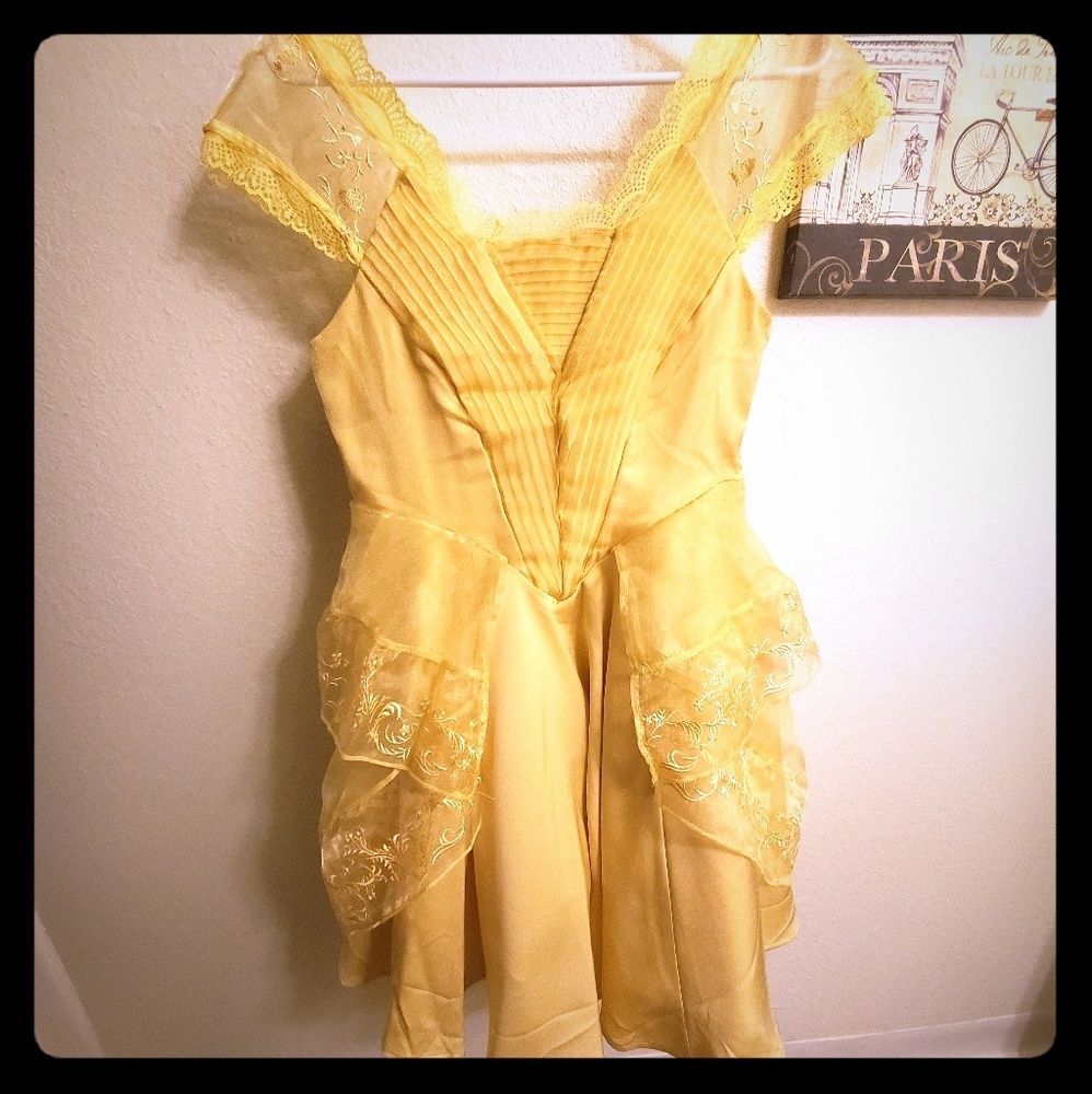 Beauty and the beast gown from Hot Topic